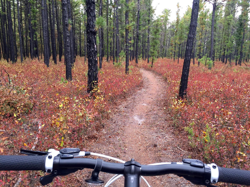 Van Buren Mountain Bike Trail